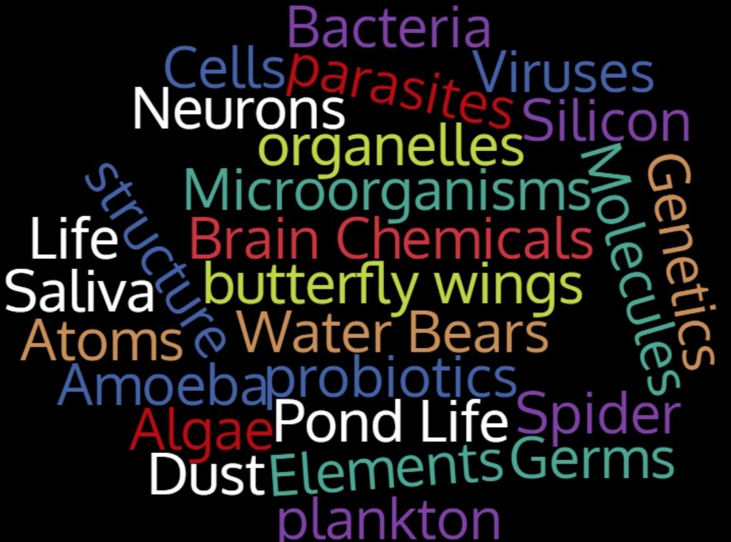 A word cloud with the terms: Algae,  Amoeba, Atoms, Bacteria, Brain Chemicals, butterfly wings, Cells, "DNA, Dust, Elements, Genetics, Germs, Life, Microorganisms, mites, Molecules, Neurons, organelles, parasites, plankton, Pond Life, probiotics, Saliva, Silicon, Spider, structure, Viruses, Water, Water Bears, webs