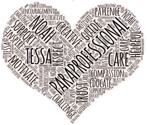 paraprofessional word cloud