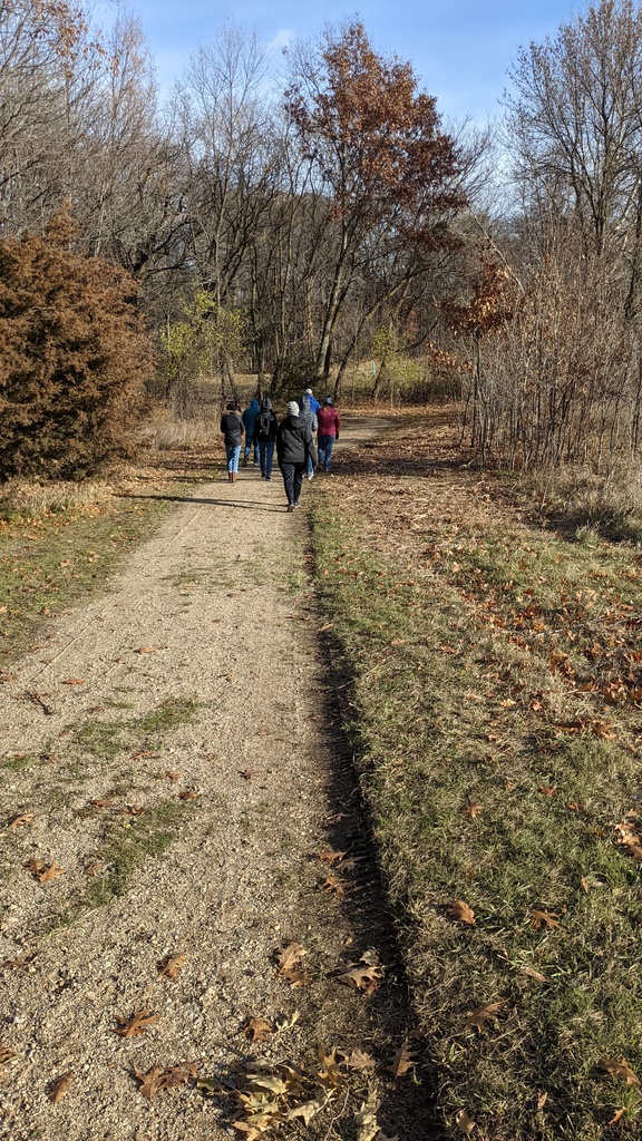 Group walking on a trail through trees
