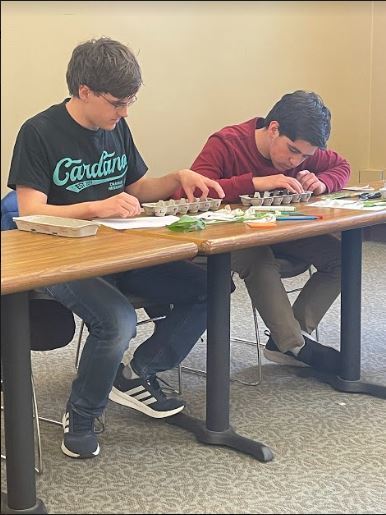 Image of two students planting seeds in egg cartons