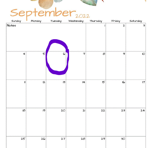 Calendar with September 6, 2022 circled