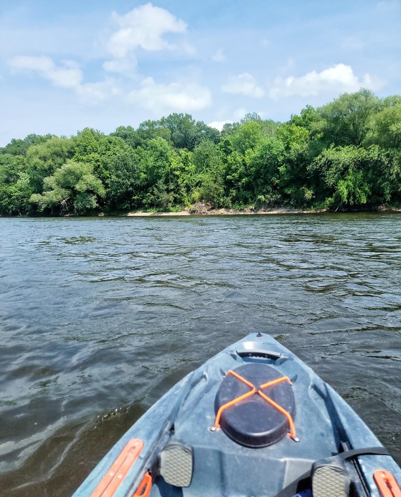 Looking over the bow of a kayak at water surrounded by trees