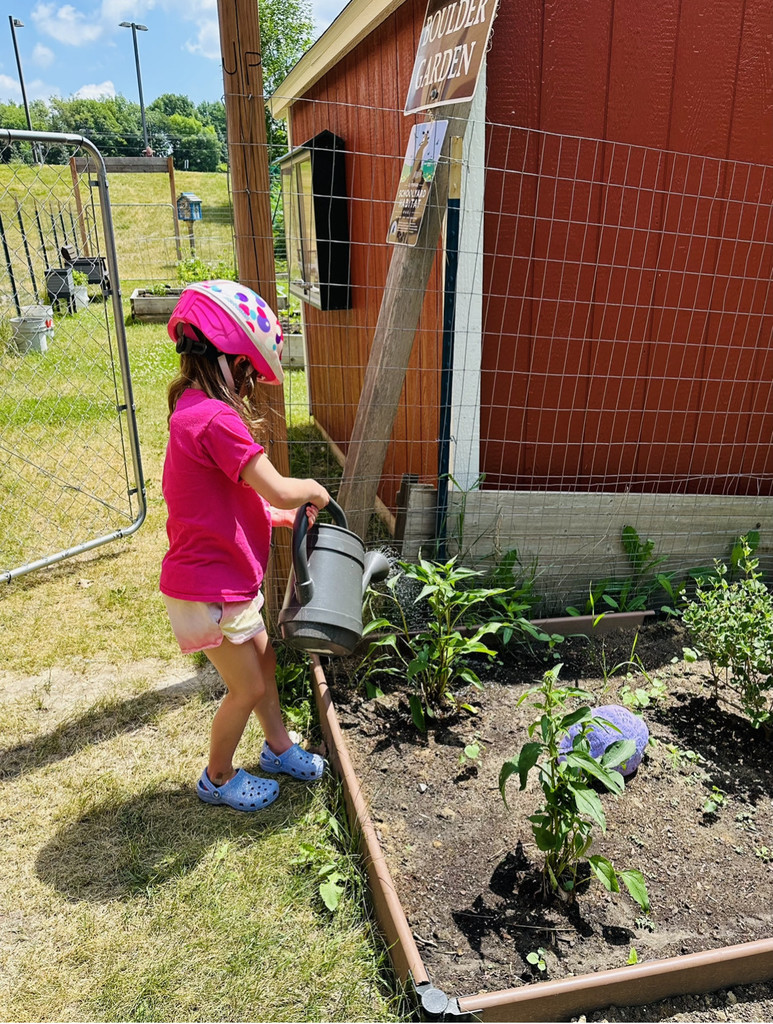 Summer Garden