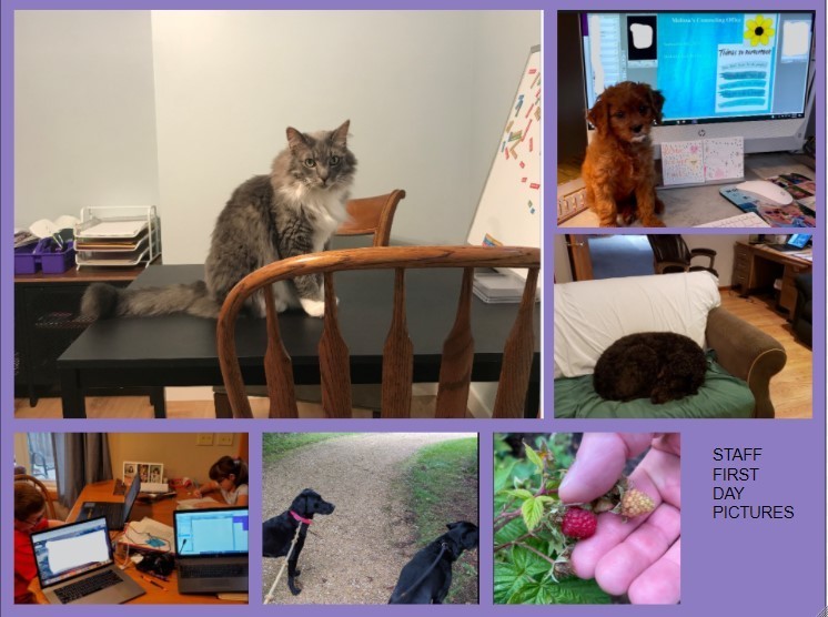 6 images: cat on table, puppy next to computer, a dog curled up on coach with computer in background, images of computers at table with kids in background, 2 dogs on leashes on a walking path, hand holding raspberries.  Words that say " Staff First Day Pictures"